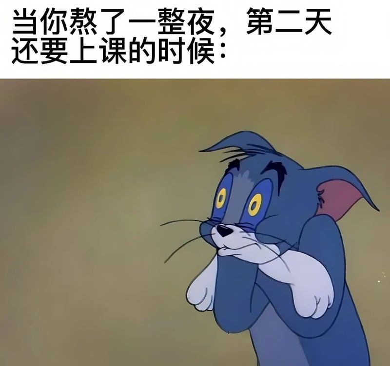汤姆