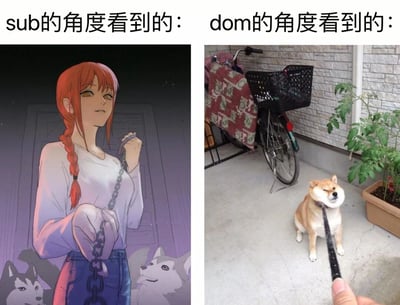 左右对比图，左侧为动漫风格红发女子手持锁链的形象，右侧为现实中的柴犬被拴着牵引绳的场景。通过将BDSM关系中sub（服从方）视角下的浪漫化想象与dom（支配方）视角下的现实场景进行对比，制造幽默反差效果。
