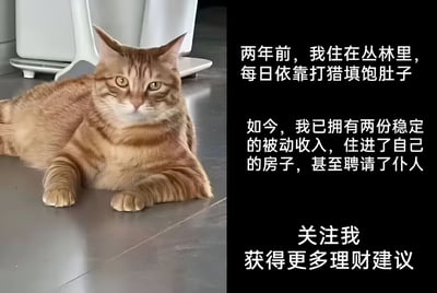 这是一张幽默的猫咪表情包，左侧是一只橘猫趴在地上，表情自信而满足。右侧配有文字，讲述了这只猫的