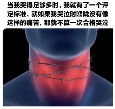 这张梗图上方是一段文字：'当我哭得足够多时，我就有了一个评定标准，就如果我哭泣时喉咙没有像这样的痛苦，那就不算一次合格哭泣'。下方是一张图片，展示了一个人的颈部，喉咙部位被铁丝网缠绕，呈现出红色的疼痛状态。图片通过夸张的比喻，幽默地表达了哭泣时喉咙的疼痛感，暗示只有达到这种程度的痛苦才算是'合格'的哭泣。