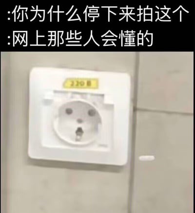 这是一张顶配底文的图文混排趣味梗图，顶部黑色背景区域是两行对话文字，下方主体是实拍的墙面上安装的白色220V欧标电源插座，插座上的两个圆形插孔像人脸的眼睛，中间的小圆孔像鼻子，下方的插孔像张开的嘴，整体排布恰好酷似一张带着惊讶表情的人脸，充满巧合的喜感，配文也暗示这个外形梗是网络受众能理解的趣味点。
