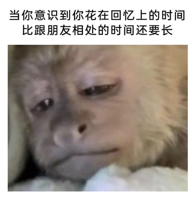 这是一张用于抒发低落情绪的图文表情包，上方配有文字“当你意识到你花在回忆上的时间比跟朋友相处的时间还要长”，下方是一只神情落寞的猴子，它眼神黯淡、嘴角下撇，满脸惆怅的神态完美契合了人在发现自己过度沉浸于回忆、忽略当下社交时的怅然与孤独感，通过动物的神态来共情这种略带伤感的心境，极易引发有类似状态的网友的情绪共鸣。