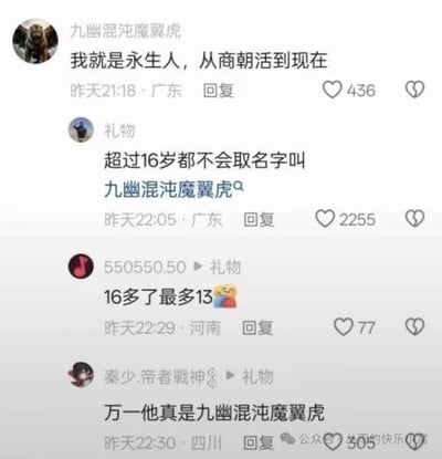 这是一张社交媒体评论区的爆梗截图，围绕“九幽混沌魔翼虎”这样极具中二风格的ID展开。楼主自称“永生人”，评论区网友调侃超过16岁不会取这种名字，更有幽默称顶多13岁，并以假设真的有“九幽混沌魔翼虎”收尾，自黑气氛浓厚。整体氛围轻松、无厘头，展现了中国网民经典的吐槽和玩梗文化。涉及ID起名的青春中二尴尬和网友集体即兴创作的群嗨画面。值得注意，这组评论利用夸张ID和年龄梗形成了反差笑点，是双关与网络中二梗结合的产物。