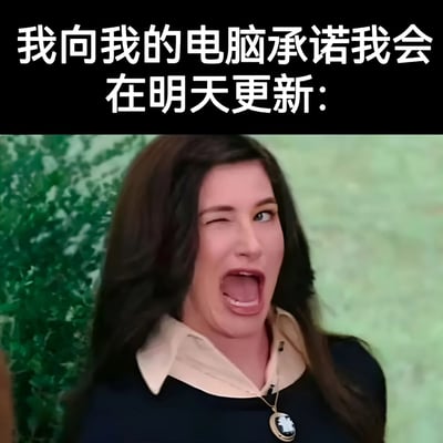 图片上方为黑色背景白色文字“我向我的电脑承诺我会在明天更新：”，下方是一位棕色长发女性的影视截图。她单侧眼睛眨眼，另一侧眼睛睁大，嘴巴夸张地张开露齿，表情戏谑又带着一丝狡黠，仿佛在做出不可靠的承诺。整体通过文字与人物表情的反差，幽默调侃了人们对电脑更新的拖延行为。