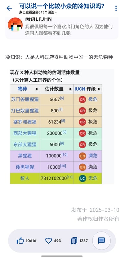 这是一张中文知识问答社区的回答截图，对应问题为「可以说一个比较小众的冷知识吗？」。回答开头先调侃喜欢冷门角色的爱好者很难找到对应的同人创作，随后给出科普冷知识：智人是人科现存8种动物里唯一的无危物种，还附上了统计表格，表格列出了苏门答腊猩猩、打巴奴里猩猩、婆罗洲猩猩、西部大猩猩、东部大猩猩、黑猩猩、倭黑猩猩、智人共8种现存人科动物的野生个体估测数量，以及对应的IUCN红色名录评级：前7种人科物种的评级均为极危或濒危，仅智人的评级为无危，野生智人数量约78亿，远高于其他人科物种的存量。截图底部显示该回答发布于2025年3月10日，获得了10616个点赞、493个喜欢、1267次收藏，底部标注著作权归作者所有。