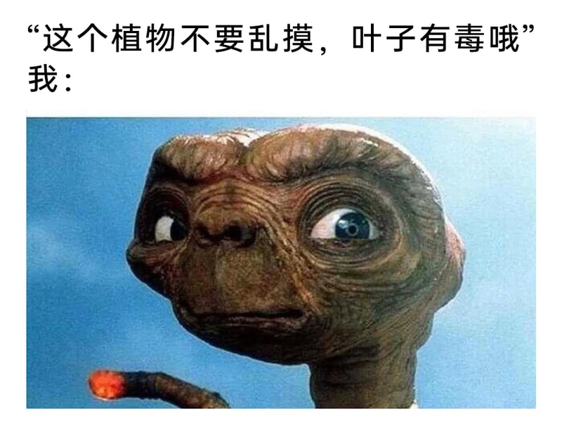 E.T.外星人
