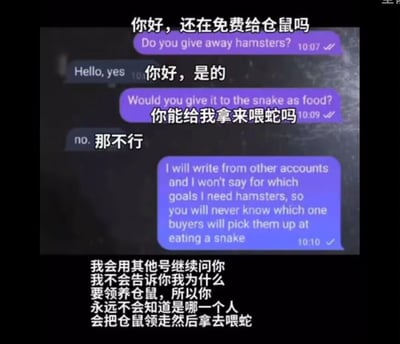 这是一张即时通讯软件的聊天记录截图，对话配有中英双语对照。内容围绕免费领养仓鼠展开：一名领养者首先询问送养者是否仍在免费赠送仓鼠，在得到肯定答复后，直接表明领养仓鼠是为了喂蛇，被送养者拒绝后，该领养者威胁将使用其他账号继续询问，且不会告知领养目的，让送养者无法分辨哪些领养者会将仓鼠拿去喂蛇。这段对话凸显了宠物领养过程中的道德冲突，领养者的自私行为与送养者保护小动物的意愿形成鲜明对立。