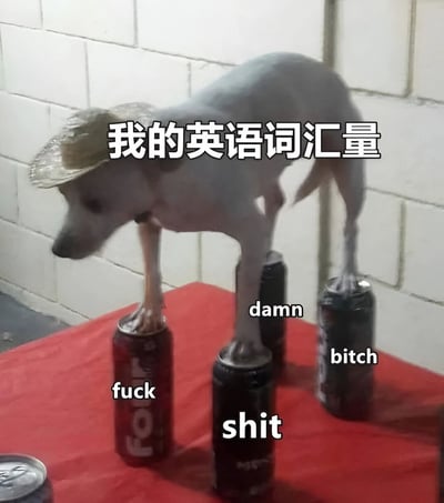 图片中一只戴着草帽的小狗正用四肢分别站立在多个易拉罐上保持平衡，背景是白色砖墙。图片上方有文字“我的英语词汇量”，下方每个易拉罐上分别标注着“fuck”“shit”“damn”“bitch”等英语脏话，通过幽默的方式自嘲英语词汇量匮乏，只会一些粗俗词汇。