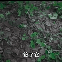 龙王赘婿缩略图