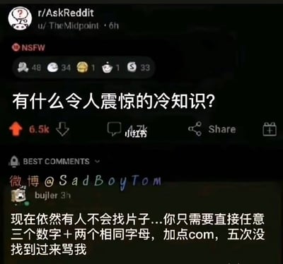 这是一张Reddit平台r/AskReddit社区的截图，显示了用户u/TheMidpoint发布的一个问题："有什么令人震惊的冷知识?"。截图包含了帖子的基本信息，如发布时间(6小时前)、互动数据(48赞、34评论等)，以及一条高赞评论。评论用户bujler分享了一个关于如何寻找特定内容的技巧，提到使用"三个数字+两个相同字母+.com"的格式。截图上还有"小红书"和"微博 @SadBoyTom"的水印，表明这张截图可能在多个社交平台上被分享过。