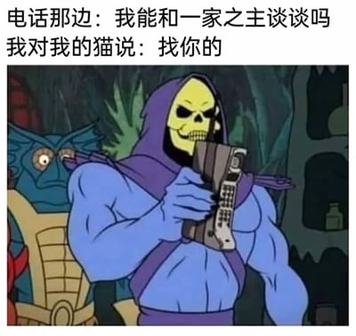 这是一张充满趣味的宠物主题梗图，图中使用了经典动画《宇宙的巨人希曼》里骷髅王持电话的截图，上方配文构建了一个幽默场景：当电话那头的人想要和“一家之主”谈话时，铲屎官却对着自家猫说“找你的”，以此调侃在养猫的家庭中，猫咪才是被当作核心、被宠爱的“一家之主”，精准戳中了众多铲屎官的日常体验，用反差感制造出轻松搞笑的氛围。