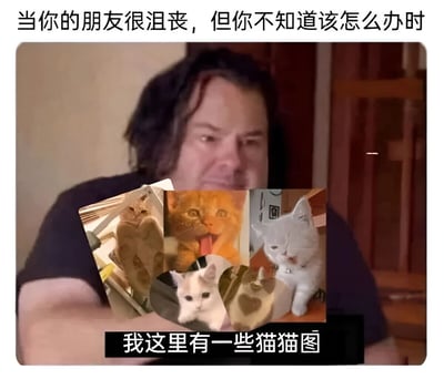 这是一张幽默梗图，上方文字描述场景：“当你的朋友很沮丧，但你不知道该怎么办时”。中间画面是一名真实人物手持多张可爱猫猫图片的拼贴，下方配有文字“我这里有一些猫猫图”。通过夸张表现人们在朋友沮丧时不知如何安慰，转而用猫咪图片这一通用治愈方式来化解尴尬的情景，充满生活气息和幽默感。