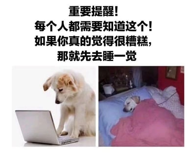 图片上方为醒目的黑色加粗文字：'重要提醒! 每个人都需要知道这个! 如果你真的觉得很糟糕，那就先去睡一觉'。下方左右两侧各有一张图片：左侧是一只白色狗狗前爪放在笔记本电脑键盘上，低头专注地看着屏幕，表情略显疲惫；右侧是同一只狗狗蜷缩在铺着粉色被子的床上，头枕在蓝色枕头上，安详地睡着。整体通过图文结合的方式，传达出当遇到糟糕情绪时，睡眠是一种有效的缓解方式的温馨建议。