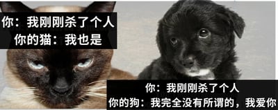图片为左右对比构图，左侧是一只蓝眼睛的暹罗猫，表情冷峻，配有文字“你：我刚刚杀了个人 你的猫：我也是”；右侧是一只胸口有白毛的黑色幼犬，眼神无辜，配有文字“你：我刚刚杀了个人 你的狗：我完全没有所谓的，我爱你”。通过猫的冷漠回应与狗的忠诚回应形成幽默反差，调侃宠物不同的性格特点。