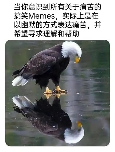 图片上方是一段关于Meme文化的深刻洞察文字：“当你意识到所有关于痛苦的搞笑Memes，实际上是在以幽默的方式表达痛苦，并希望寻求理解和帮助”。下方是一张野生动物摄影照片，一只白头海雕低头凝视水中的倒影，形成一种自我反思的视觉隐喻。图文结合传达了对网络幽默背后真实情感需求的思考。