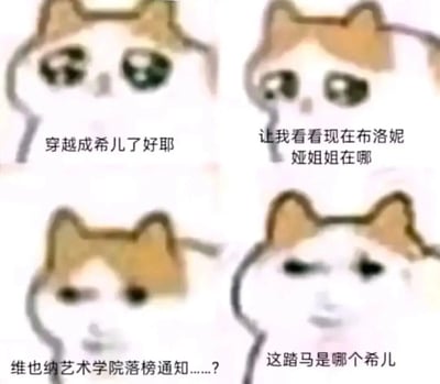 这是一张四格猫脸表情包，每格都有不同表情的猫脸角色配上文字对白。第一格猫脸带着惊喜表情说"穿越成希儿了好耶"，第二格带着期待表情问"让我看看现在布洛妮娅姐姐在哪"，第三格表情困惑说着"维也纳艺术学院落榜通知......?"，第四格则是一脸震惊地问"这踏马是哪个希儿"。

图片使用了谐音梗和角色混淆的幽默手法，将游戏《崩坏3》中的角色希儿与历史人物希特勒(因"维也纳艺术学院落榜"这一历史事件)联系起来制造笑点。