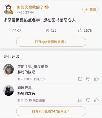 这是一张社交媒体截图，显示了用户"你的文案我的了"发布的一条内容："求恶俗极品热点名字，想在图书馆恶心人"。该帖子获得了96次转发、247条评论和2675个点赞。截图中还显示了两条热门评论，分别来自"智能手机_重度依赖"（评论内容："胖鸡的猫吧"）和"奔流云雾"（评论内容："奶龟的龙头"）。界面设计包含典型的社交媒体元素，如用户头像、用户名、发布时间、互动按钮和评论区。