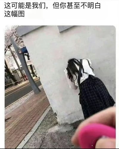 图片上方有文字'这可能是我们，但你甚至不明白这幅图'。下方是一张照片，显示一名黑发女孩穿着白色上衣和黑色格子裙，身体前倾靠在一面白色墙壁上，头部低垂。前景中有一只手拿着一个粉色物体（可能是手机或玩具）。背景可见铺着砖块的人行道、一条马路、一个蓝色的路标以及开着樱花的树木，整体场景像是在春季的街道旁。图片通过文字暗示内容具有一定的隐晦性或需要特定语境才能理解，营造出一种神秘或引人思考的氛围。