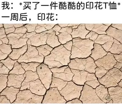 图片上方文字描述“我：*买了一件酷酷的印花T恤* 一周后，印花：”，下方配有一张土地干裂、布满裂纹的图片。通过将T恤印花一周后的状态比喻为干裂的土地，幽默地吐槽了印花T恤质量差、图案容易开裂脱落的问题。