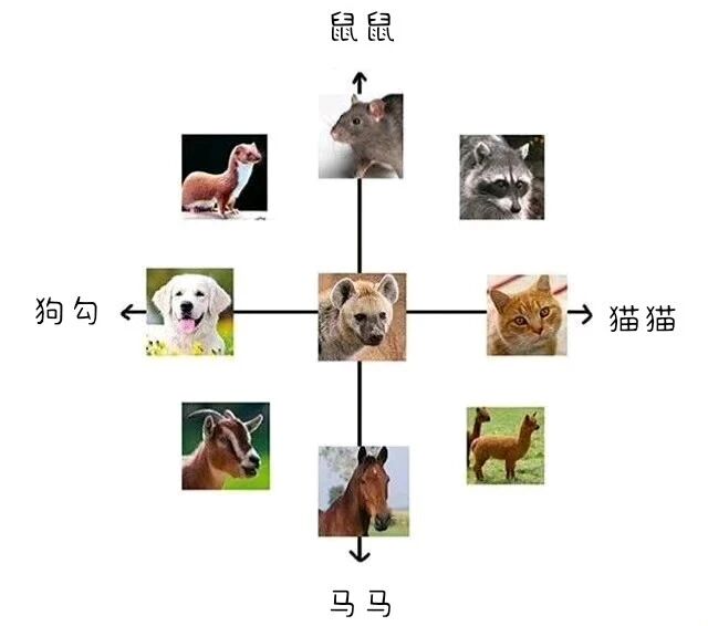 鬣狗