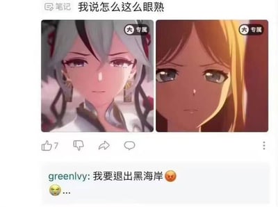 社交媒体截图展示两张动漫风格女性角色的对比图，左侧角色为灰黑色头发配红色发饰，右侧角色为金黄色长发，两人面部表情和五官结构高度相似，上方配有文字"我说怎么这么眼熟"，下方有用户评论"我要退出黑海岸 😔"。图片通过并排放置两个外貌相似的角色，形成"撞脸"效果的视觉对比。