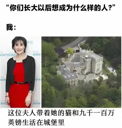 图片上方有文字提问'你们长大以后想成为什么样的人?'，下方左侧是一位身着红色连衣裙外搭黑色外套的女士微笑站立的照片，右侧是一张城堡的航拍图，城堡被绿树环绕。图片底部文字说明'这位夫人带着她的猫和九千一百万英镑生活在城堡里'。通过将童年理想的提问与现实中富裕闲适的城堡生活相对比，形成幽默调侃的效果，表达了一种对财富和安逸生活的向往。