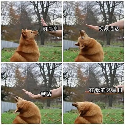 四格连环图展示一只棕色狗狗在户外草地上的反应：第一格狗狗抬头看标有“群消息”的手；第二格看标有“视频通话”的手；第三格看标有“电话”的手；第四格狗狗转头避开标有“在我的休息日”的手。通过狗狗的反应幽默表现人们在休息日不想被各种通讯打扰的心情，引发共鸣。