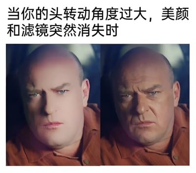 这张梗图通过左右对比的方式，幽默展示了当头部转动角度过大导致美颜和滤镜突然消失的尴尬场景。左侧图片中人物面部皮肤光滑，五官柔和，明显经过美颜处理；右侧图片中同一人物面部皱纹显现，皮肤质感粗糙，呈现出未加修饰的真实状态。两张图片形成强烈反差，配合上方文字"当你的头转动角度过大，美颜和滤镜突然消失时"，生动演绎了美颜滤镜失效的搞笑瞬间。