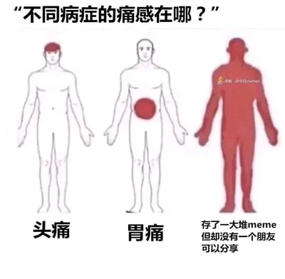 这是一张多图拼接的静态网络meme，顶部以“不同病症的痛感在哪？”作为引导标题，通过三幅简笔画人体示意图来呈现不同的“痛感”：左侧示意图以头部红色区域对应“头痛”，标注生理疼痛的位置；中间示意图以胃部红色区域对应“胃痛”，同样指向生理痛感；右侧示意图则将整个人体涂成红色，下方配文“存了一大堆meme但却没有一个朋友可以分享”，用全身都痛的夸张方式，将有有趣内容却无人分享的孤独、失落情绪类比为全身的“痛感”，用生理疼痛的表现形式来调侃当代年轻人的社交孤独感，引发网友共鸣。