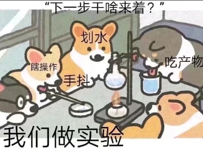 这是一张卡通风格的文字加注静态图，画面以拟人化的四只柯基为主体，模拟实验室做实验的场景：左侧柯基标注“瞎操作”，正拿着实验器具进行无意义的慌乱操作；中间偏左的柯基标注“手抖”，握着器具的手明显颤抖；中间的柯基标注“划水”，悠闲地坐在一旁没有实质动作；右侧的柯基标注“吃产物”，正舔食容器里的实验产物。画面顶部配文“下一步干啥来着？”，底部配文“我们做实验”。整幅图用可爱的卡通形象，调侃了团队协作做项目（或实验）时，成员各自摸鱼、状态混乱，看似在推进工作实则效率低下的情况，精准戳中职场人或做实验的学生的共鸣点，风格搞笑幽默。