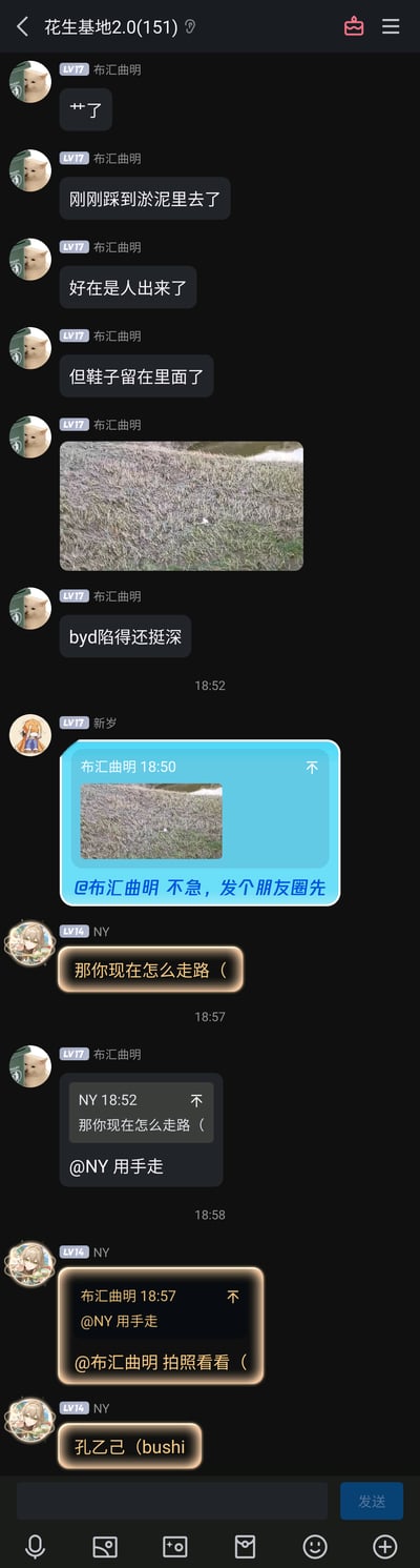 这是一张竖屏手机端的群聊截图，群名为“花生基地2.0(151)”。群成员布汇曲明（LV17）先是连发消息吐槽自己的糗事：踩到淤泥里，人成功脱身但鞋子陷在淤泥中，还附带了一张淤泥草地的现场图片，补充说淤泥陷得很深；随后群友新岁（LV17）调侃他“不急，发个朋友圈先”，群友NY（LV14）好奇询问他现在怎么走路，布汇曲明幽默回复“用手走”，NY接着要求他拍照看看，还玩起了孔乙己的梗（调侃用手走路的样子像孔乙己），整个对话轻松有趣，是群友间分享生活糗事的日常互动。
