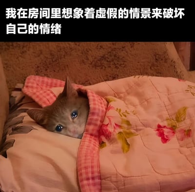 图片上半部分为黑色背景白色文字：“我在房间里想象着虚假的情景来破坏自己的情绪”，下半部分是一只灰蓝色眼睛的灰猫，裹在带有粉色花朵和绿色叶子图案的粉色被子里，趴在米色沙发或床上，露出小脑袋，眼神忧郁，仿佛在沉思。图片通过将猫咪拟人化，幽默地表达了人类过度思考、用想象中的负面情景影响自身情绪的常见现象，引发共鸣。