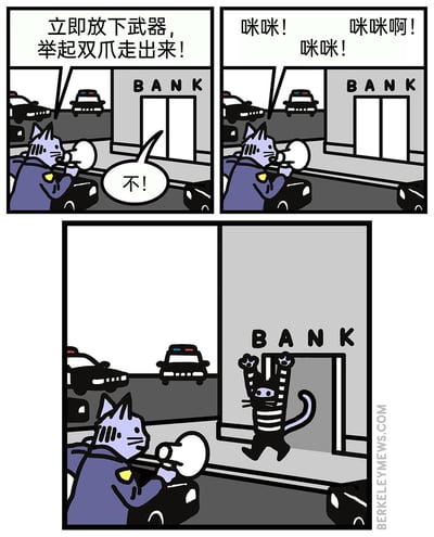 这是一则三格连环拟人化卡通漫画，围绕银行劫案展开乌龙剧情：第一格中，身为警察的猫咪在银行外持扩音器，命令内部的劫匪猫放下武器、举爪走出，劫匪猫拒绝回应“不！”；第二格中，警察猫转而呼喊“咪咪！咪咪啊！咪咪！”；第三格中，原本抗拒的劫匪猫因为“咪咪”是对猫咪的常用称呼，本能地举起双爪从银行走出来，利用猫咪的本能反应制造出执法场景下的幽默反差，笑点在于从严肃执法到唤猫的转变带来的行为反转。
