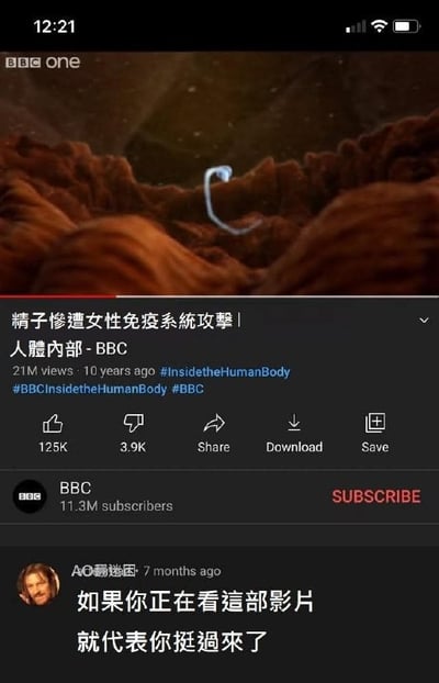 这是一张YouTube视频播放页的截图，主体是BBC官方发布的科普纪录片《人体内部》的片段，画面用动画演示了精子进入女性体内后游动的场景，视频主题为讲解精子会遭到女性免疫系统攻击的生理知识。截图下方的网友评论用玩梗的方式调侃所有正在观看视频的人，都曾经是成功突破了免疫系统攻击、顺利完成受孕的那颗精子，表述幽默有共鸣，是广为传播的网络玩梗内容。
