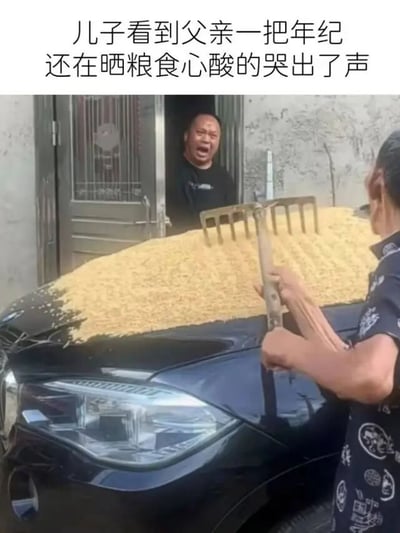 图片上方配有文字“儿子看到父亲一把年纪还在晒粮食心酸的哭出了声”，下方画面中一位老人正用耙子在黑色轿车车顶上晾晒大量黄色谷物，车旁开着的门内一名男子张大嘴巴，表情夸张，似在喊叫或惊讶。通过文字营造的“心酸”氛围与实际画面中“在车顶晒粮”的荒诞场景形成强烈反差，制造幽默效果。