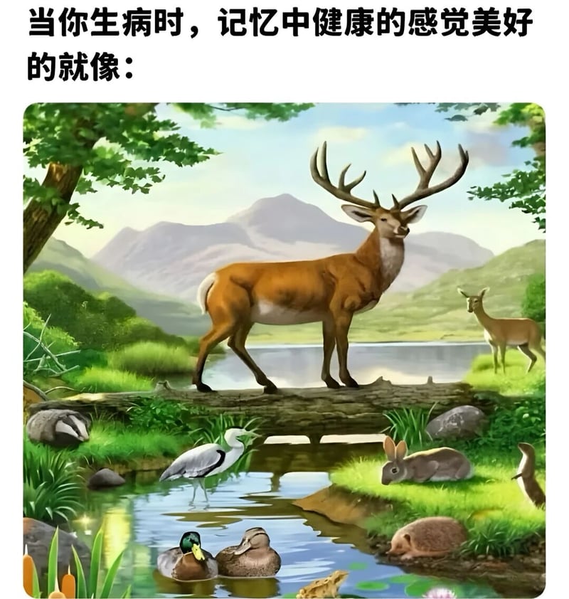 自然插画