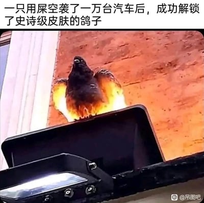 这是一张利用视觉错觉打造的趣味梗图，路灯上方的墙面光影与中间的深色区域巧合组合，看起来像是一只长着火焰状翅膀的鸽子。图上方的配文玩梗，将鸽子往汽车上拉屎的常见行为调侃成“用屎空袭一万台汽车”，并把这个巧合的视觉效果说成是鸽子完成“空袭”后解锁的史诗级火焰皮肤，用游戏中解锁皮肤的梗来赋予日常场景搞笑的脑洞，充满趣味性。