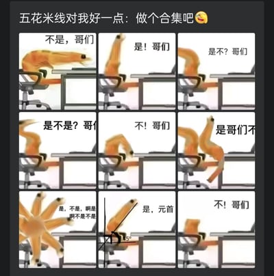 这是一组九宫格的魔性梗图合集，主体是拟人化的虾仁坐在办公桌前，通过不断变换语序的「是/不是哥们」类台词，搭配虾仁夸张扭曲、甚至分裂的动作，最后还加入了「是，元首」的玩梗内容，营造出一种循环洗脑、无厘头搞笑的效果，用来调侃朋友或者表达自己纠结反复的情绪。