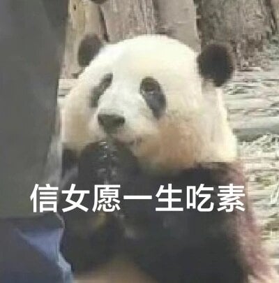 信女愿一生吃素