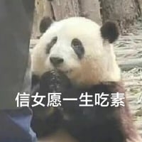 信女愿一生吃素
