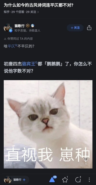 这是一张知乎平台的回答截图，页面顶部显示原提问为“为什么如今的古风诗词连平仄都不对？”，认证用户“猫歌行”针对该问题给出了戏谑且强硬的反驳：先用“啥平仄不平仄的？”直接表达对纠结平仄观点的不屑，再以初唐四杰骆宾王的《咏鹅》开头“鹅鹅鹅”为例，反问提问者为何不质疑《咏鹅》的字数不符合格律，以此消解“纠结平仄”的合理性。回答下方搭配了一张网络流行的歪头拽脸猫咪表情包，图中猫咪表情不屑，配文“直视我 崽种”，进一步强化了怼人、强硬的语气，整体内容传递出不必过度拘泥于诗词平仄格律的态度。