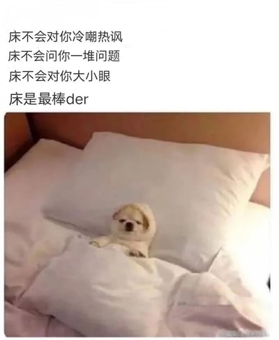 图片上方是赞美床的好处的文字，下方是一只裹在毯子里躺在床上的小狗，整体风格治愈，表达了对床的喜爱之情。