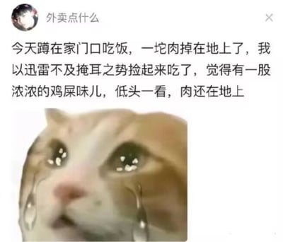 社交媒体用户‘外卖点什么’发布的一则搞笑帖子，内容描述自己蹲在家门口吃饭时，一块肉掉在地上，迅速捡起吃掉后发现有鸡屎味，低头才发现肉其实还在地上的尴尬经历。帖子下方配有一张经典的流泪猫表情包，猫咪睁着大眼睛，泪珠滚落，表情充满震惊与崩溃，完美呼应了文本中的搞笑又无奈的情绪。