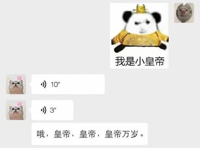 这是一段即时通讯软件的聊天记录截图，内容是朋友间的趣味互动：一方发送了一张经过P图改编的熊猫头表情包，表情包里的熊猫头身着黄色龙袍、头戴皇冠，配文「我是小皇帝」，宣告自己的“皇帝”身份；另一方先是发送了两条时长分别为10秒和3秒的语音消息，随后用文字回复「哦，皇帝，皇帝，皇帝万岁。」，模仿古代臣民对皇帝行礼呼万岁的场景，整体氛围轻松搞笑，是熟人之间玩闹式的角色扮演互动。