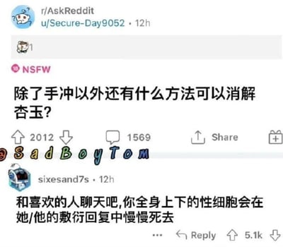 这是一张Reddit社区r/AskReddit板块的帖子截图，楼主用谐音词“杏玉”代替“性欲”提问：“除了手冲以外还有什么方法可以消解杏玉？”，该帖子获得2012个赞与1569条评论。用户sixesand7s给出的高赞回复扎心又幽默：“和喜欢的人聊天吧,你全身上下的性细胞会在她/他的敷衍回复中慢慢死去”，这条回复收获5.1k赞，精准戳中了单恋者得不到回应的心酸情绪。
谐音梗说明：“杏玉”是“性欲”的谐音写法，用于规避敏感内容审核。