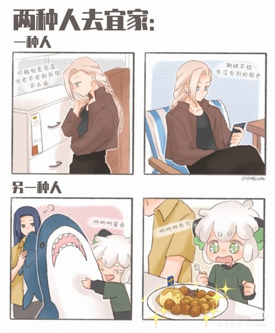 这是一幅四格漫画，幽默地描绘了两种人去宜家的不同状态。上半部分展示了一位注重实用性的顾客，正在认真考虑家具是否合适、价格是否合理；下半部分则展示了一位注重体验的顾客，对鲨鱼玩偶和肉丸表现出极大兴奋。