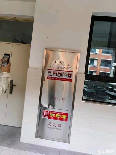 这是一张室内走廊场景的实拍图，墙面上的不锈钢消防栓门因挤压发生变形，原本的「消火栓」三个字被扭曲成了形似「曰人王」的模样，搭配下方的「FIRE HYDRANT」、「火警119」等正规消防标识，形成了极具反差感的搞笑视觉效果。画面左侧有一位身穿浅色衣服的人正手持手机拍摄这个有趣的错位画面，背景可见房间门和窗外的建筑。
这是典型的视觉错位梗，物体变形导致文字外观完全改变，产生和原意无关的搞笑解读。