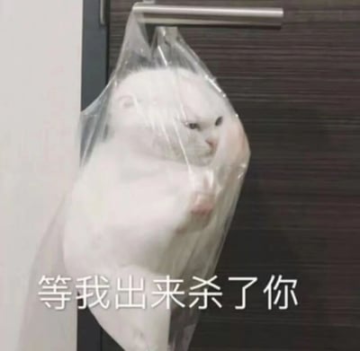 图片中一只白色猫咪被透明塑料袋包裹，悬挂在金属杆上。猫咪的身体被塑料袋挤压变形，头部和前爪露出，眼神凶狠，表情愤怒又不耐烦。图片底部配有文字“等我出来杀了你”，幽默地表现出猫咪对被困状态的强烈不满。背景为深色木门和白色墙壁，整体画面充满反差萌，猫咪的暴躁情绪与可爱外形形成有趣对比。