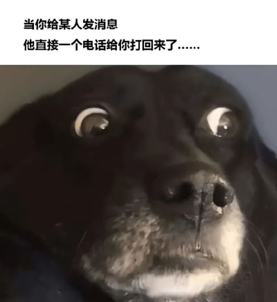 图片上半部分为文字描述“当你给某人发消息 他直接一个电话给你打回来了……”，下半部分是一只黑色狗狗的面部特写。狗狗双眼圆睁，瞳孔放大，嘴巴微张，露出明显的惊讶和些许困惑的表情，生动形象地展现了收到意外来电时的内心反应，整体通过动物表情与文字结合的方式幽默表达社交沟通中的常见场景。