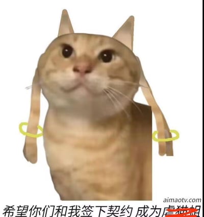 这是一张经过创意P图的搞笑表情包，主体是一只浅橘色的真实猫咪，被P上了带有飘带的猫耳头饰，飘带处还画了黄色的环来模仿契约绑定的效果。图下方配文“希望你们和我签下契约 成为虐猫姐”，其中“虐猫姐”是划掉原句“魔法少女”后修改的内容，模仿《魔法少女小圆》里丘比邀请签订契约的经典场景，将猫咪替换成契约发起者，用反差感制造搞笑效果，适合用于社交互动中的趣味调侃。